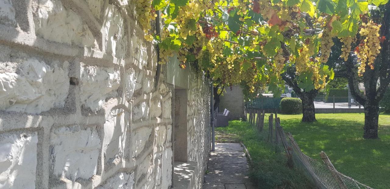 Wifi Clim Garage Jardin Bbq Cosy House Villa Brive-la-Gaillarde Eksteriør billede